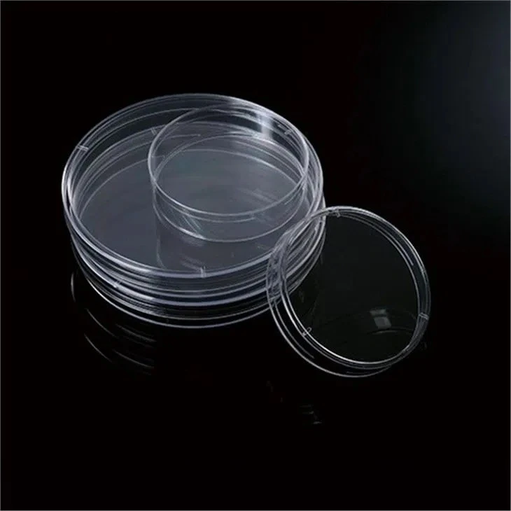 Culture Plate Disposable Culture Plate